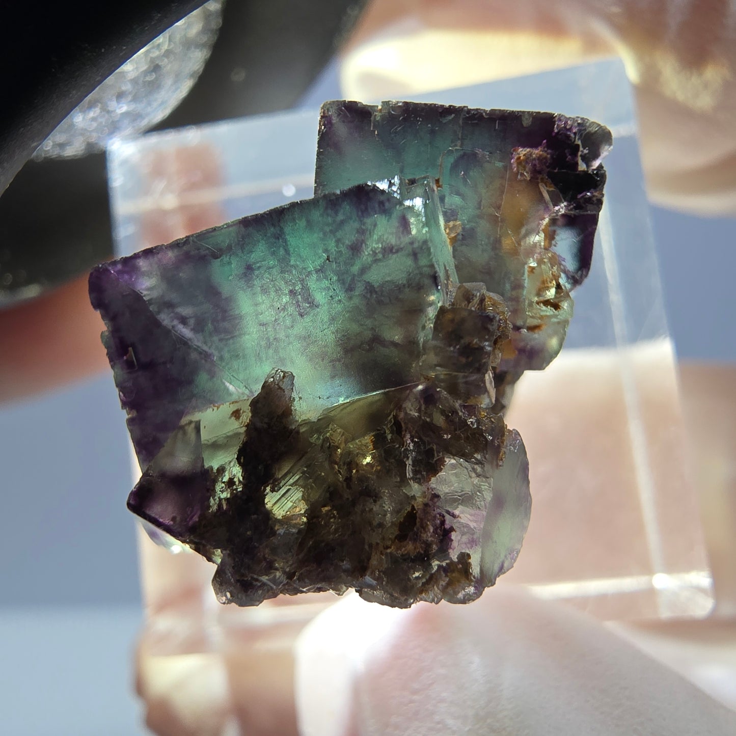 Seltene Phantom Fluorit Würfel Stufe, grün lila Okorusu, Namibia 24*17*14mm