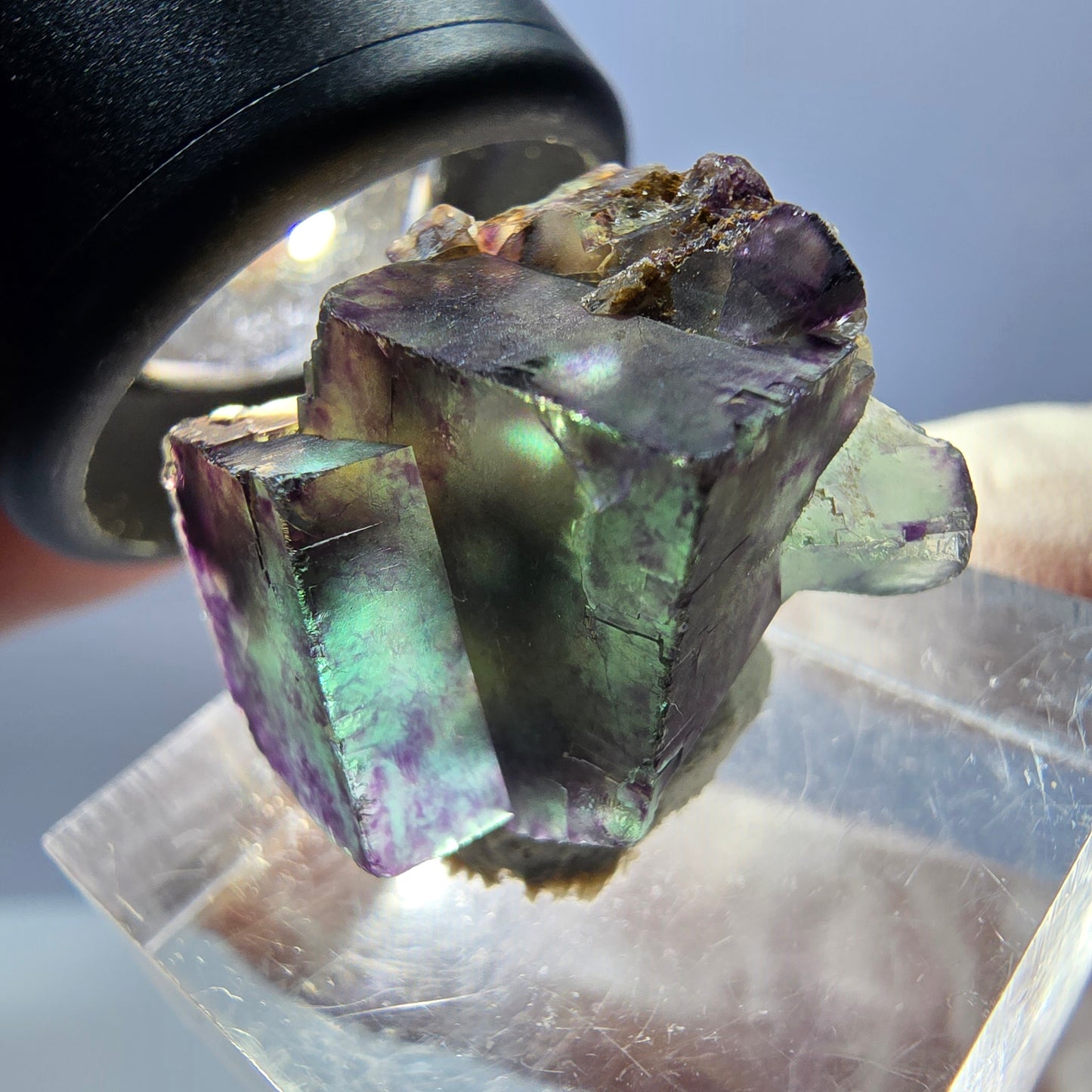 Seltene Phantom Fluorit Würfel Stufe, grün lila Okorusu, Namibia 24*17*14mm