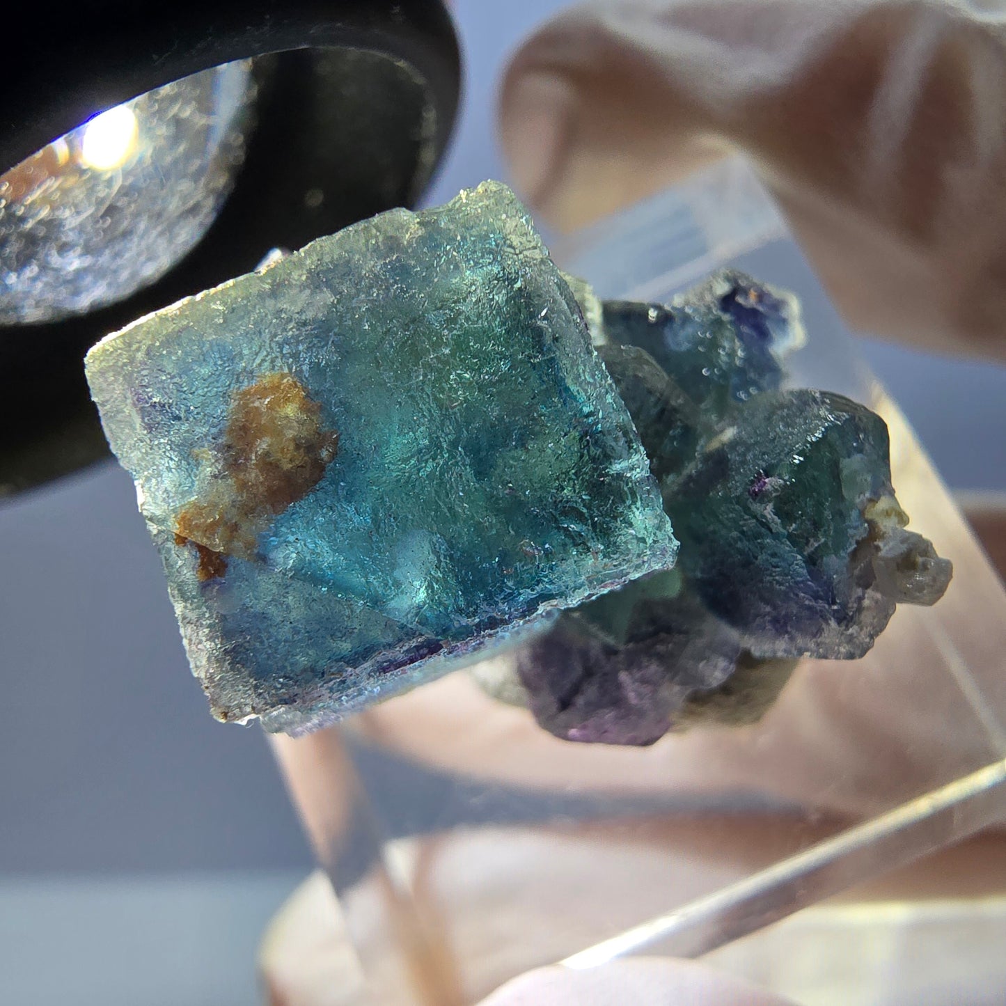 Seltene Phantom Fluorit Würfel Stufe, grün lila Okorusu, Namibia 24*18*12mm
