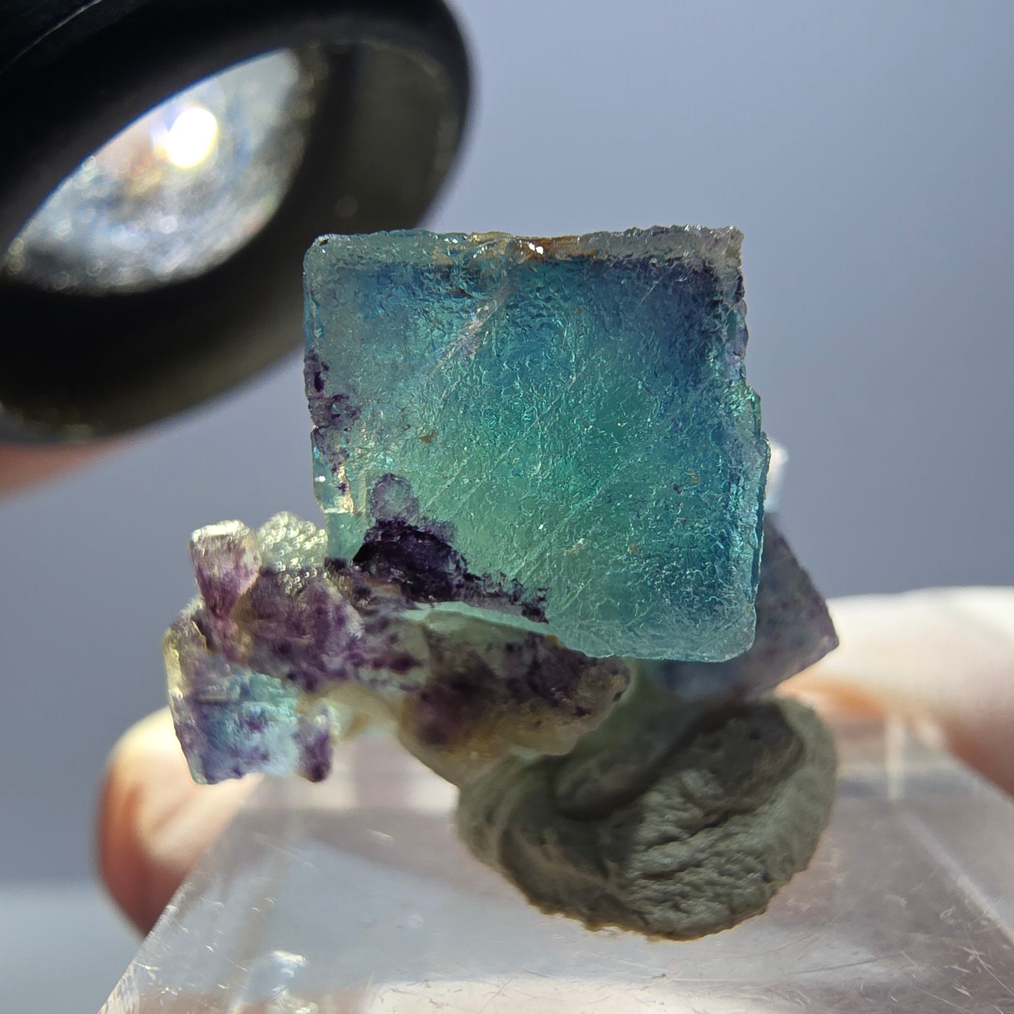 Seltene Phantom Fluorit Würfel Stufe, grün lila Okorusu, Namibia 24*18*12mm