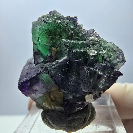 Seltene Phantom Fluorit Würfel Stufe, grün lila Okorusu, Namibia 34*31*19mm
