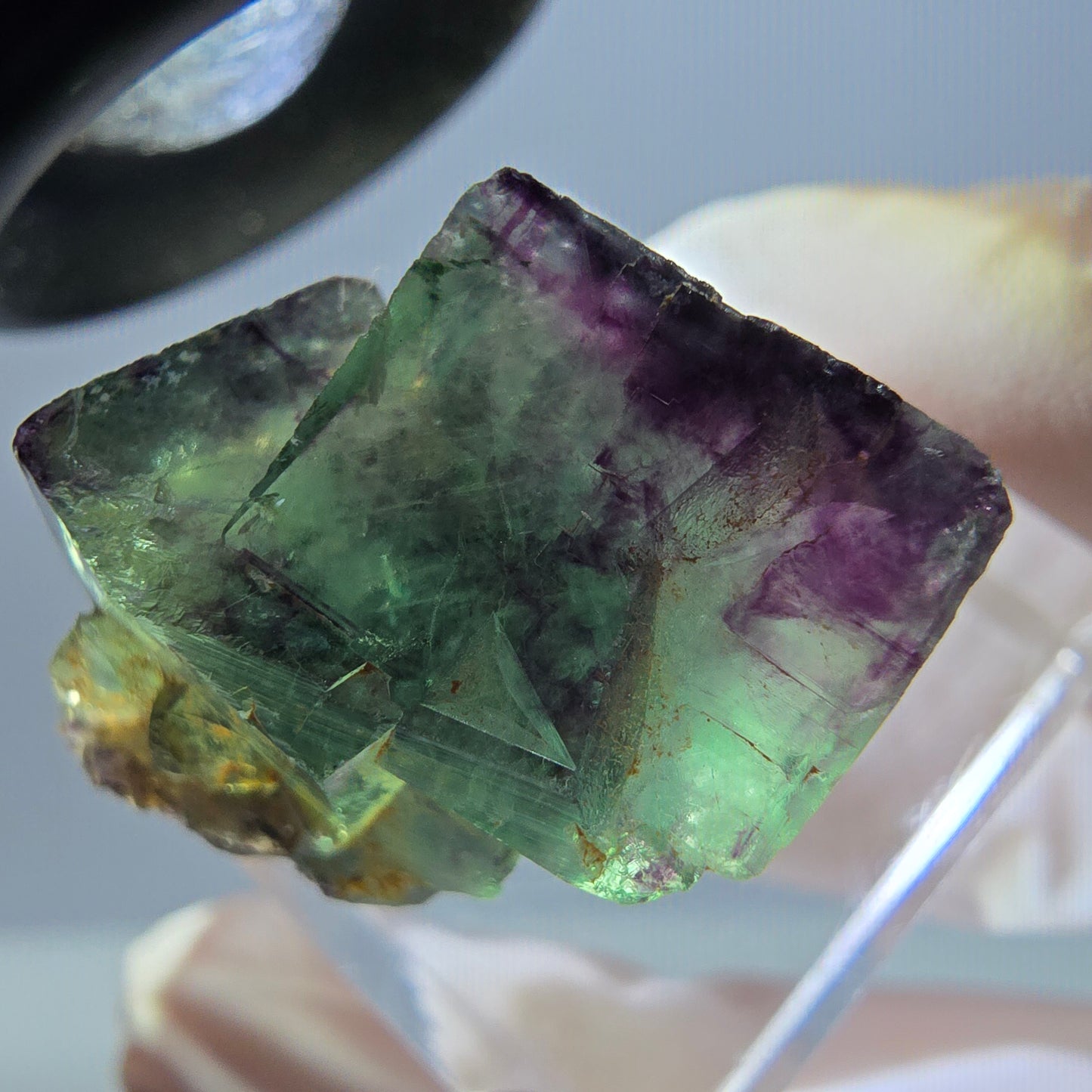Seltene Phantom Fluorit Würfel Stufe, grün lila Okorusu, Namibia 23*22*16mm
