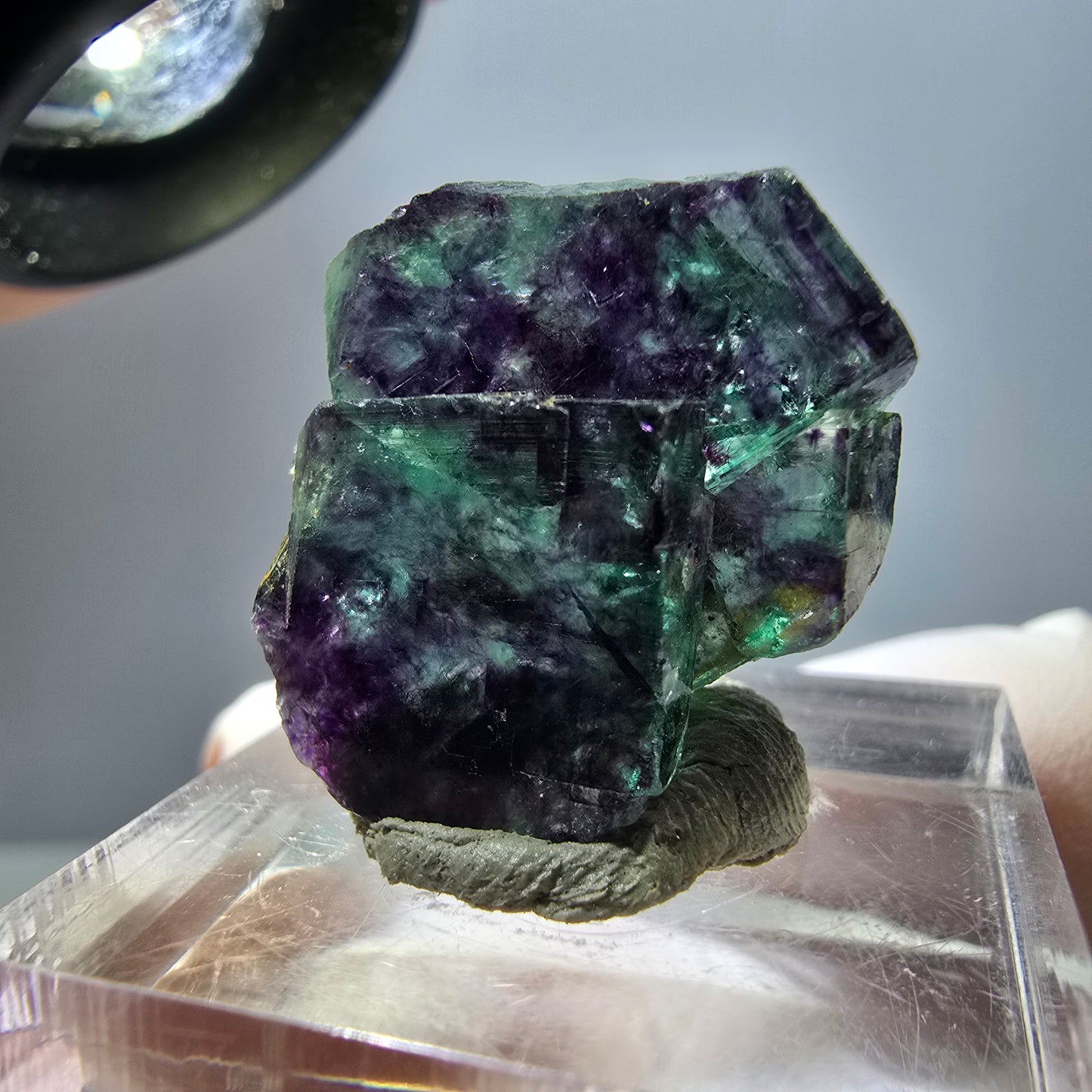 Seltene Phantom Fluorit Würfel Stufe, grün lila Okorusu, Namibia 21*21*14mm