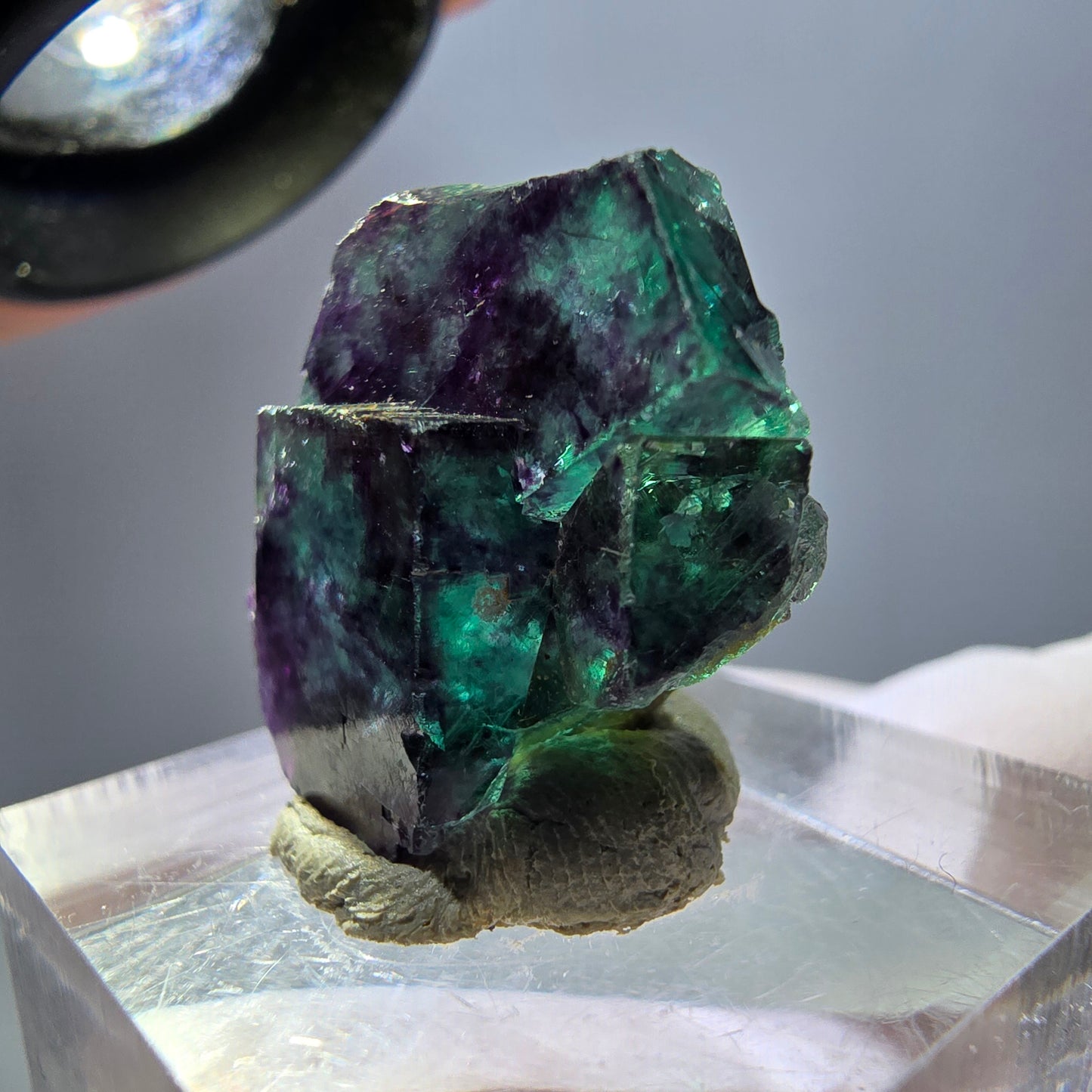 Seltene Phantom Fluorit Würfel Stufe, grün lila Okorusu, Namibia 21*21*14mm