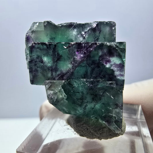 Seltene Phantom Fluorit Würfel Stufe, grün lila Okorusu, Namibia 27*24*16mm
