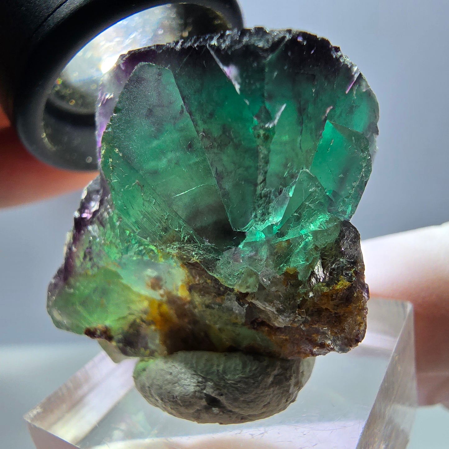 Seltene Phantom Fluorit Würfel Stufe, grün lila Okorusu, Namibia 30*29*27mm