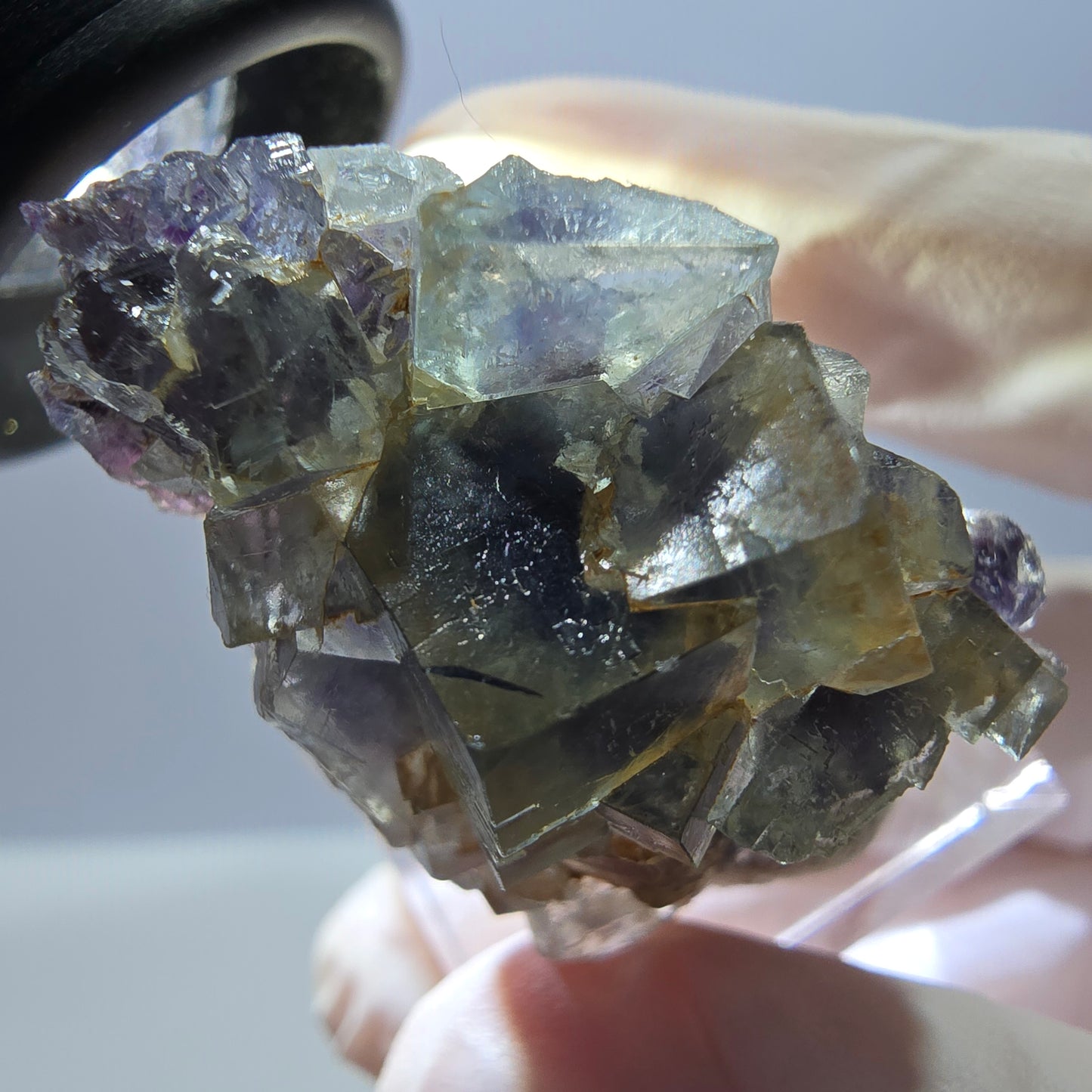 Seltene Phantom Fluorit Würfel Stufe, grün lila Okorusu, Namibia 40*23*18mm
