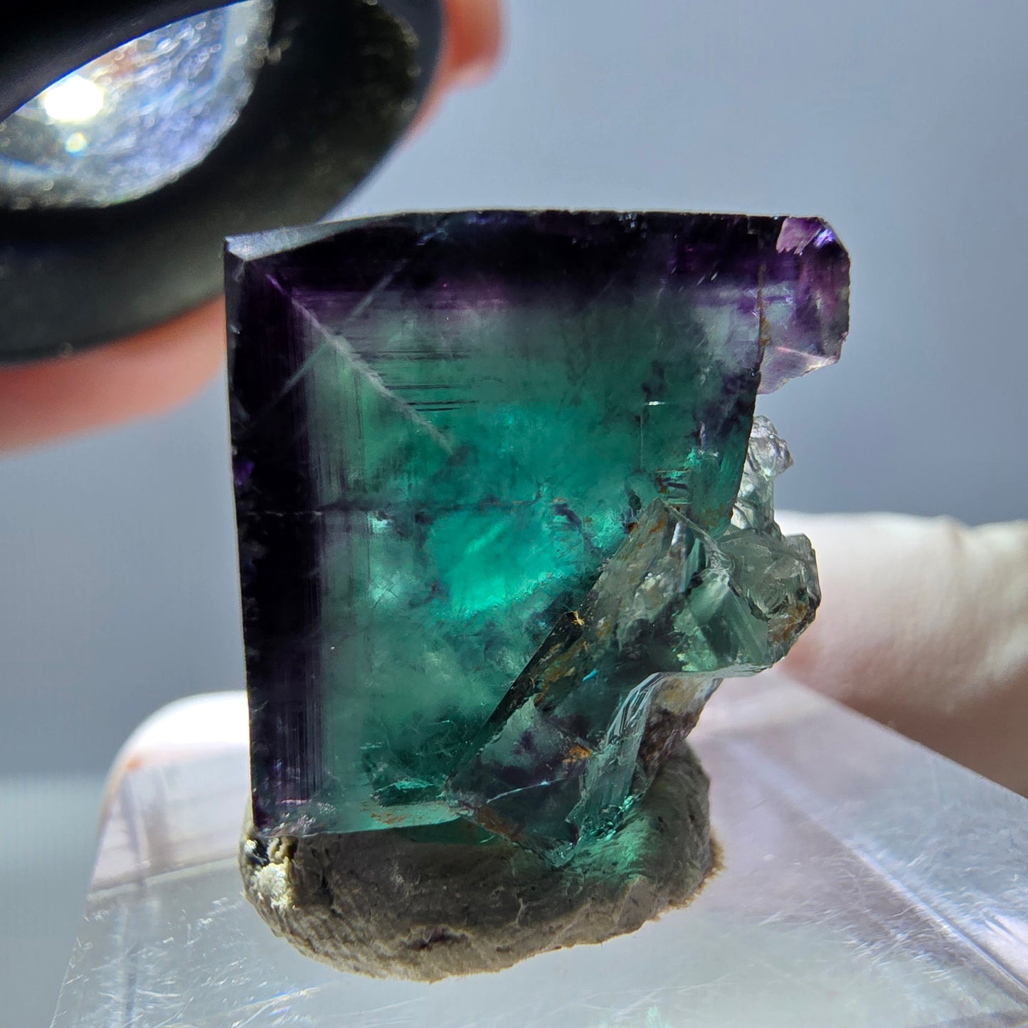 Seltene Phantom Fluorit Würfel Stufe, grün lila Okorusu, Namibia 20*19*16mm