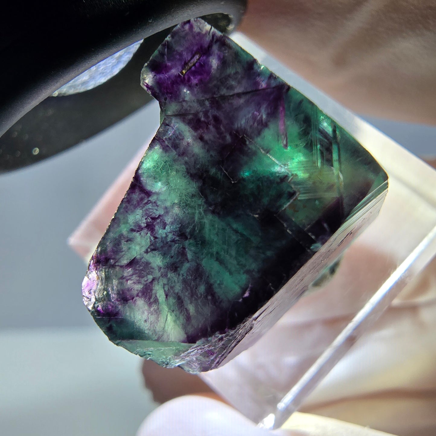 Seltene Phantom Fluorit Würfel Stufe, grün lila Okorusu, Namibia 20*19*16mm