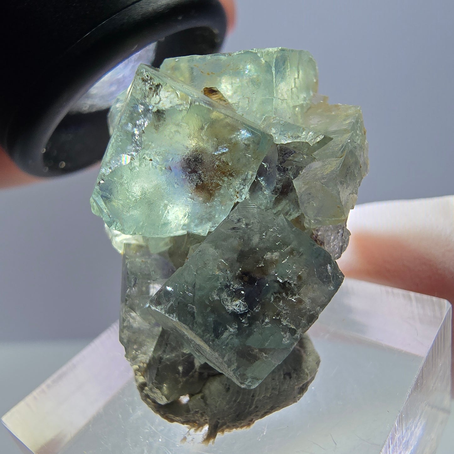 Seltene Phantom Fluorit Würfel Stufe, grün lila Okorusu, Namibia 31*23*19mm