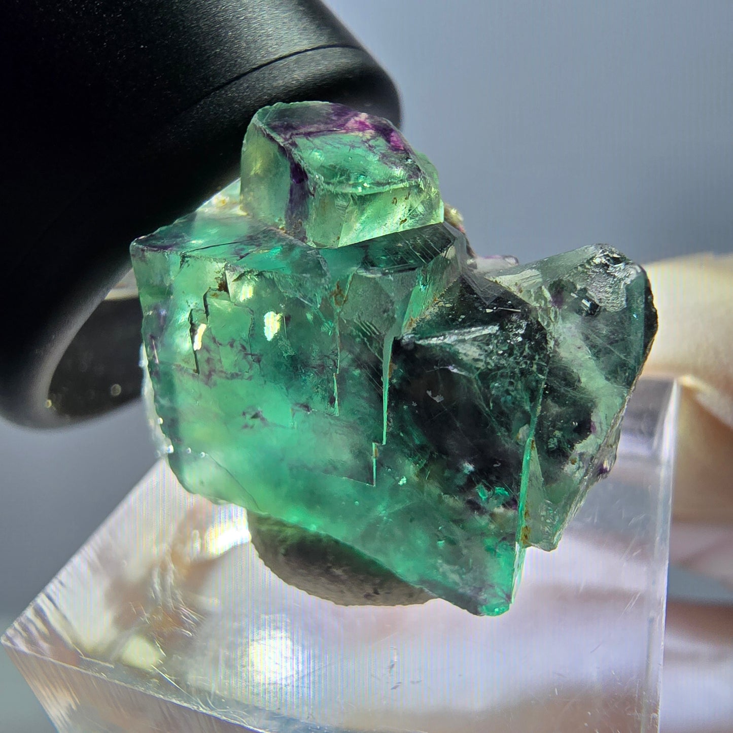 Seltene Phantom Fluorit Würfel Stufe, grün lila Okorusu, Namibia 23*18*13mm