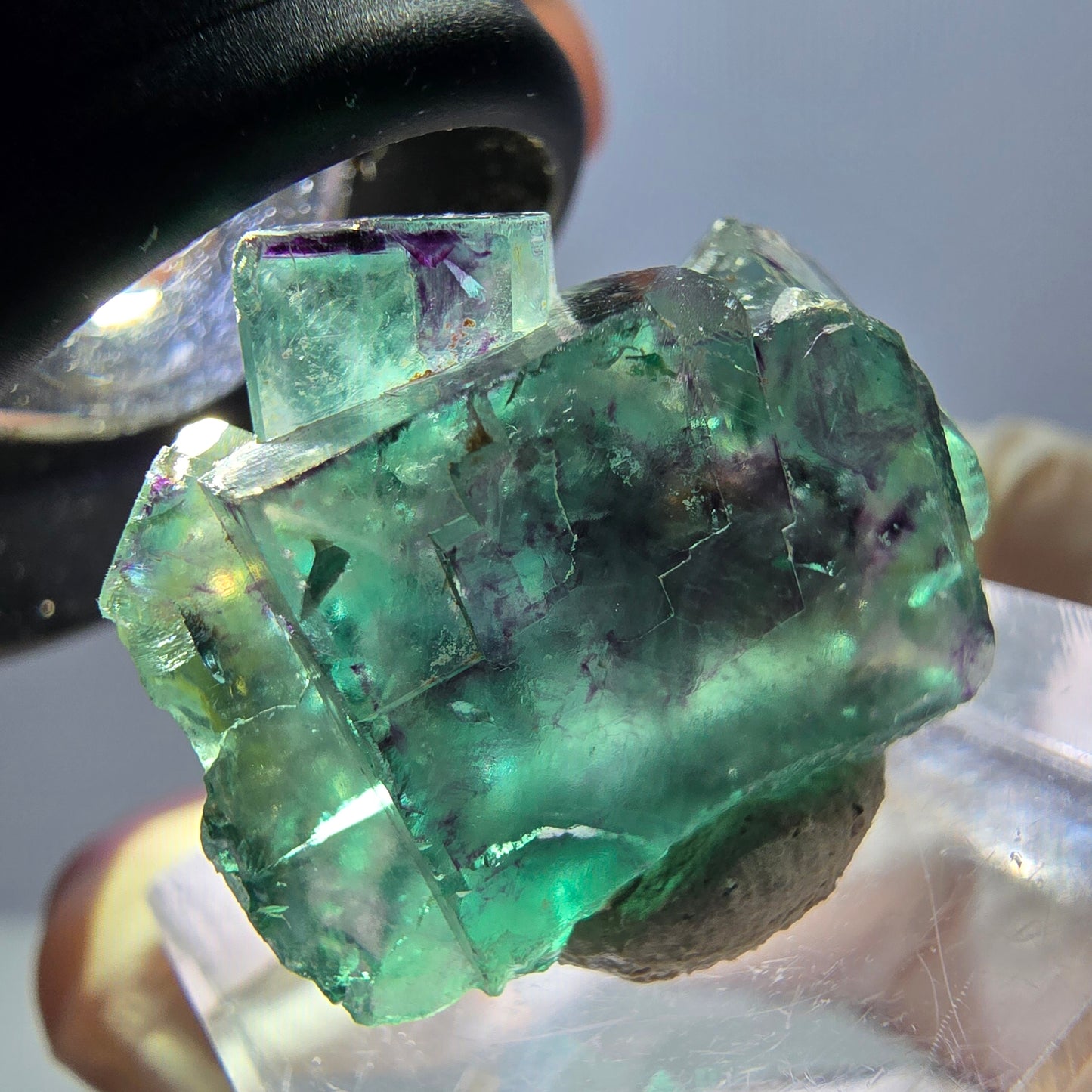 Seltene Phantom Fluorit Würfel Stufe, grün lila Okorusu, Namibia 23*18*13mm