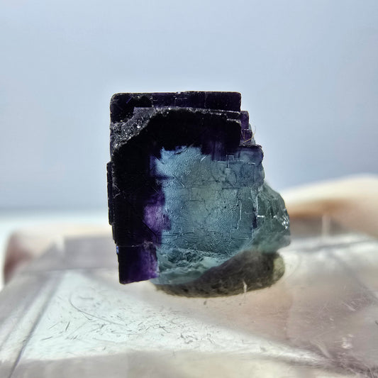 Phantom Fluorit Würfel parkettiert, grün lila Okorusu, Namibia 12*12*11mm
