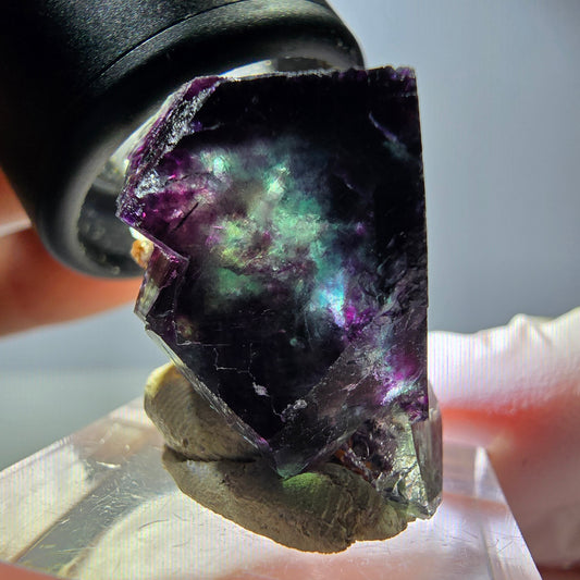 Rare spécimen cubique de fluorite fantôme, vert-violet, Okorusu, Namibie, 23*22*18 mm