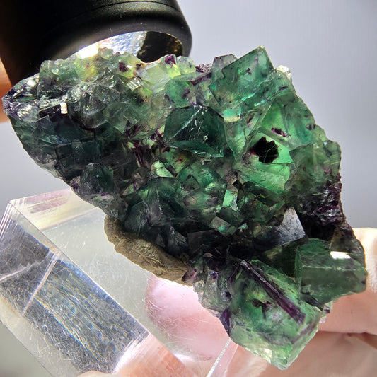 Rare spécimen cubique de fluorite fantôme, vert-violet, Okorusu, Namibie, 48*28*11 mm