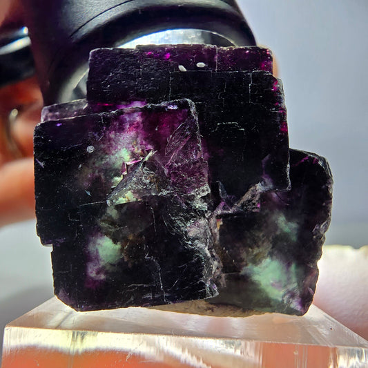 Rare spécimen de fluorite fantôme en forme de cube, vert-violet, Okorusu, Namibie, 35*34*25 mm