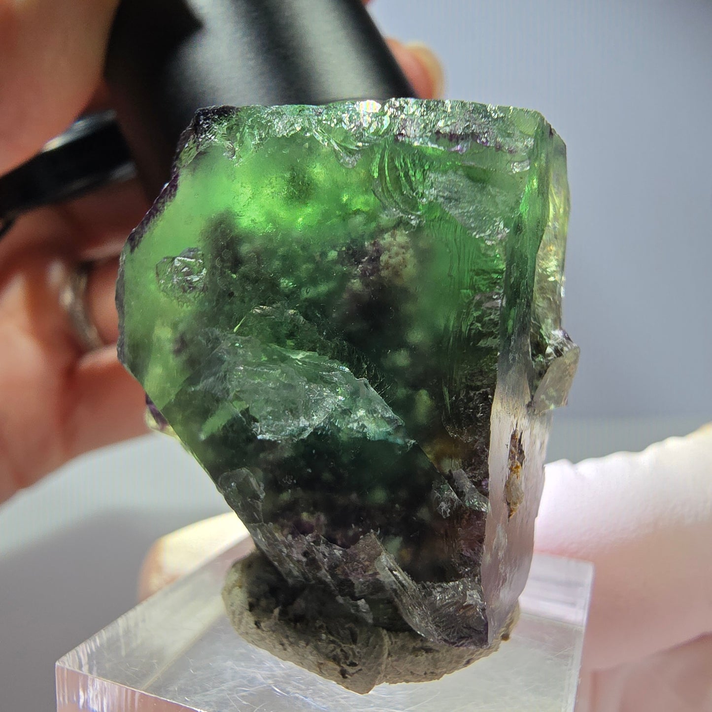 Rare spécimen cubique de fluorite fantôme, vert-violet, Okorusu, Namibie, 37*35*21 mm