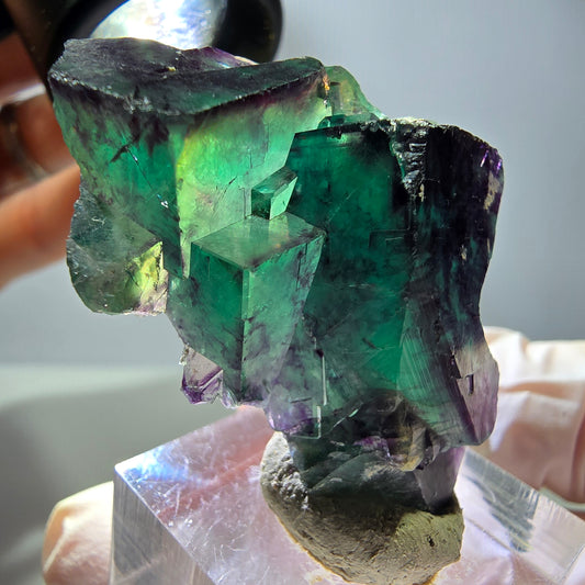 Rare spécimen cubique de fluorite fantôme, vert-violet, Okorusu, Namibie, 45*36*19 mm