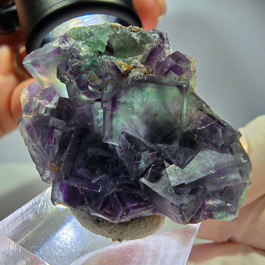 Rare spécimen de fluorite fantôme en forme de cube, vert-violet, Okorusu, Namibie, 42*31*16 mm
