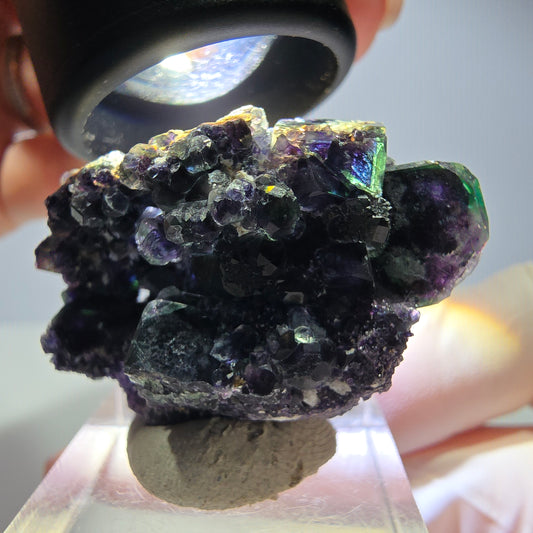 Rare spécimen cubique de fluorite fantôme, vert-violet, Okorusu, Namibie, 37*25*21 mm