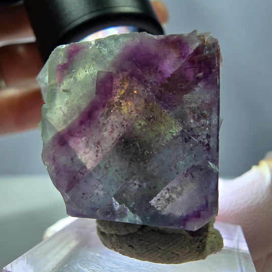 Rare spécimen cubique de fluorite fantôme, vert-violet, Okorusu, Namibie, 32*30*17 mm