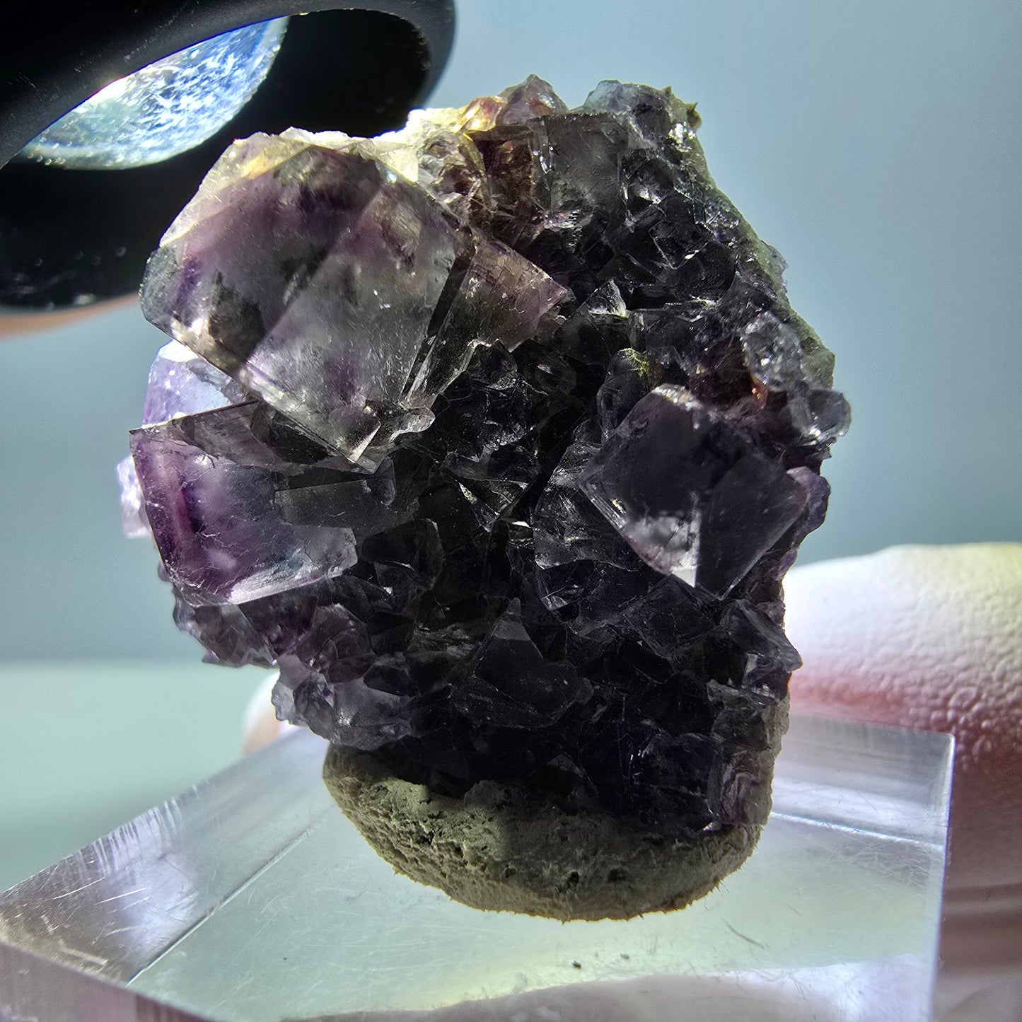 Rare spécimen cubique de fluorite fantôme, vert-violet, Okorusu, Namibie, 33*31*15 mm