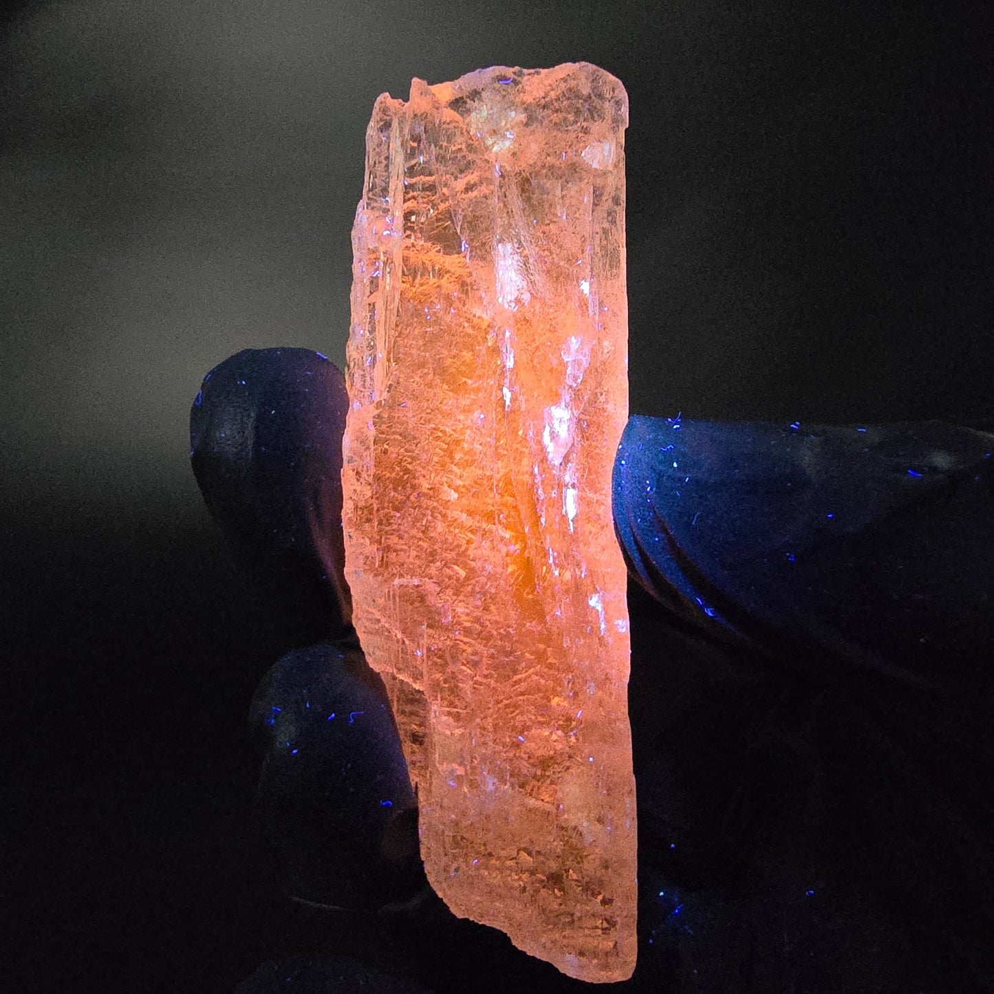 Seltener Kunzit Spodumen Kristall weiß UV Mineral 73*22*13mm Brasilien Sammlung