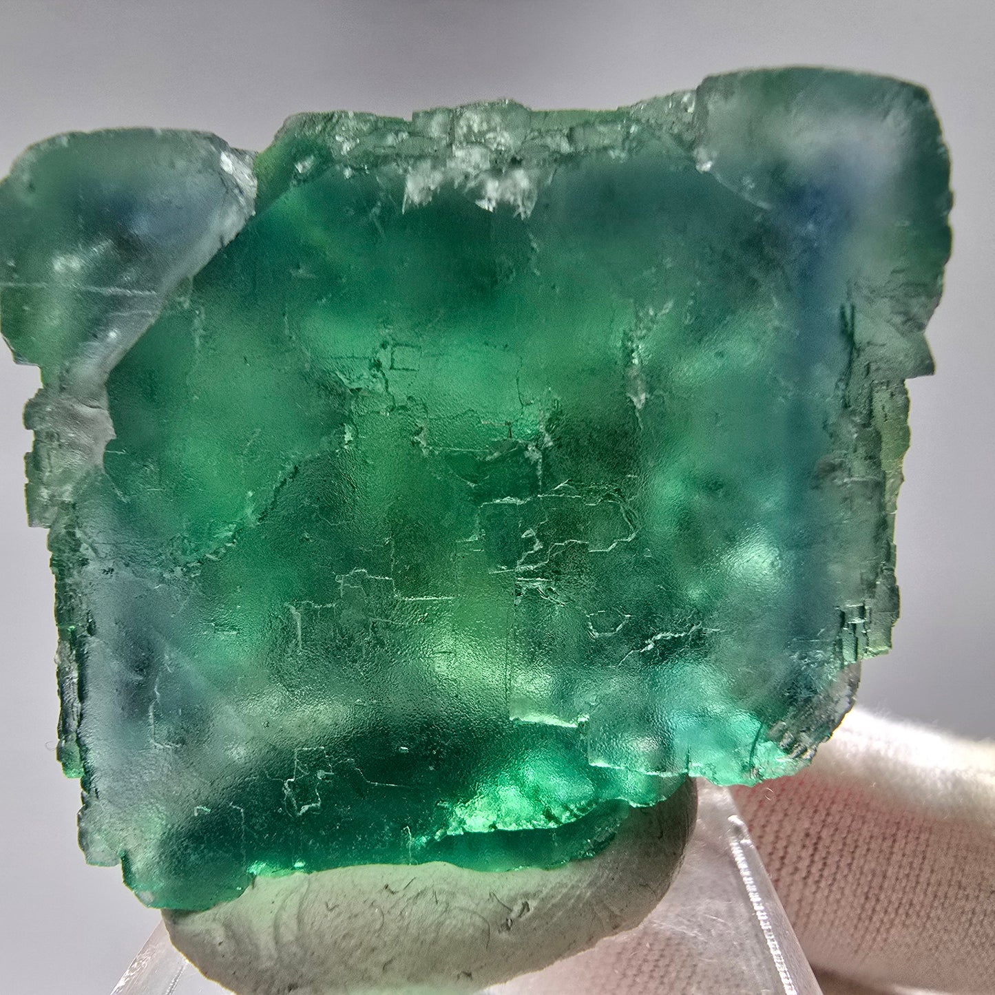 Klare Phantom Fluorit Würfel Stufe grün Okorusu, Namibia 48*43*23mm Sammlung