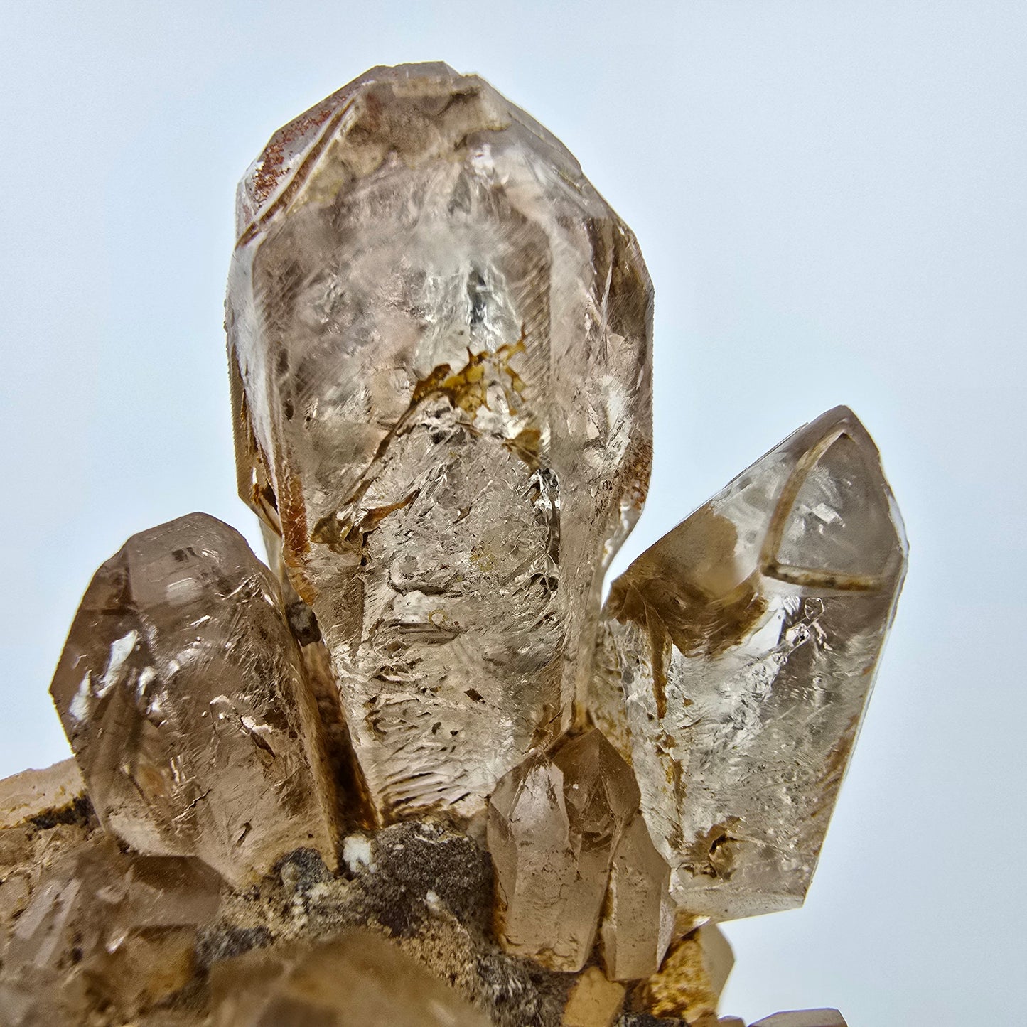 Enhydro Phantom Rauchquarz Zepter auf Matrix Goboboseb, Namibia 67*60*37mm