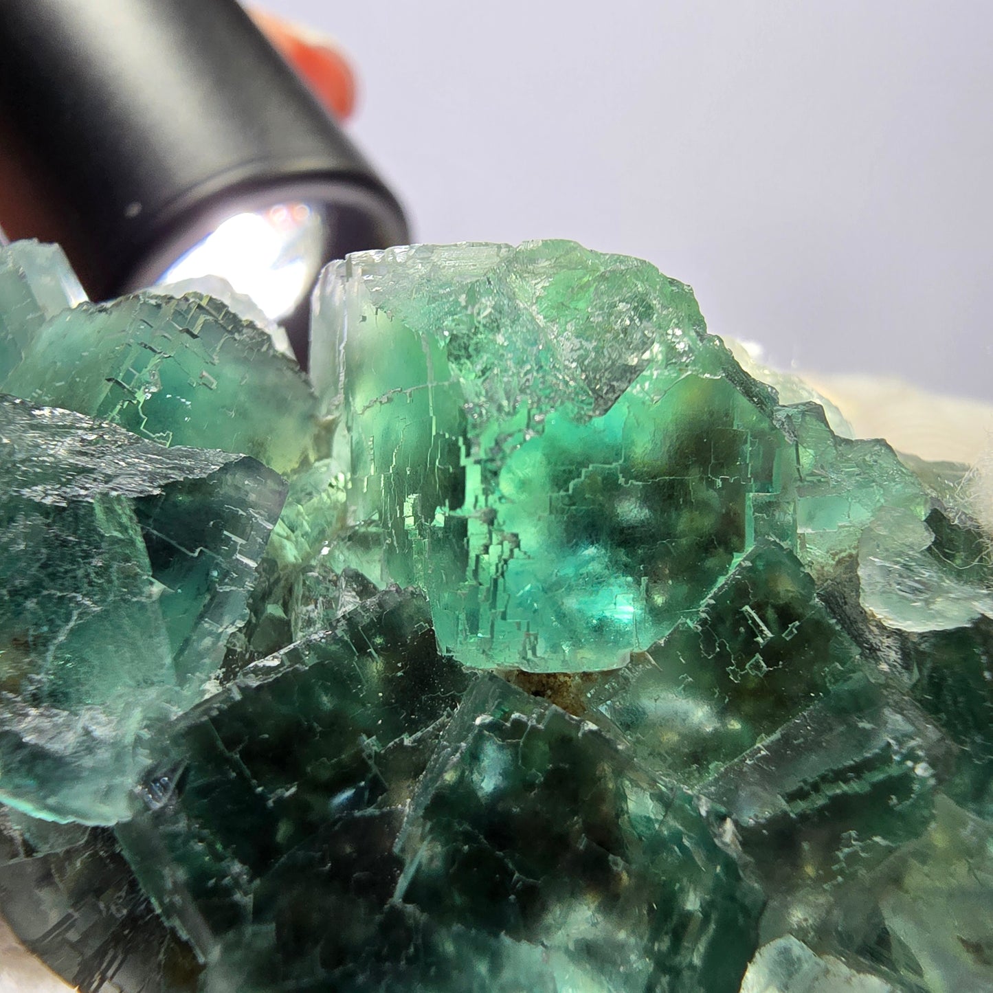 Rare spécimen de cube de fluorite fantôme, parqueté vert Okorusu, Namibie, 62 x 39 x 19 mm