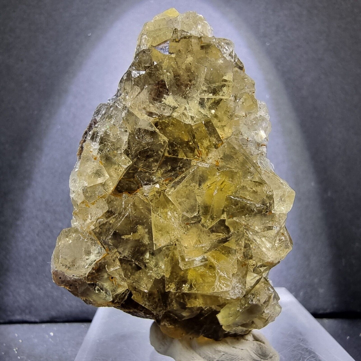 Seltene Honey Pocket Fluorit XX Würfel Stufe 59*30*28mm aus Okorusu Mine Namibia