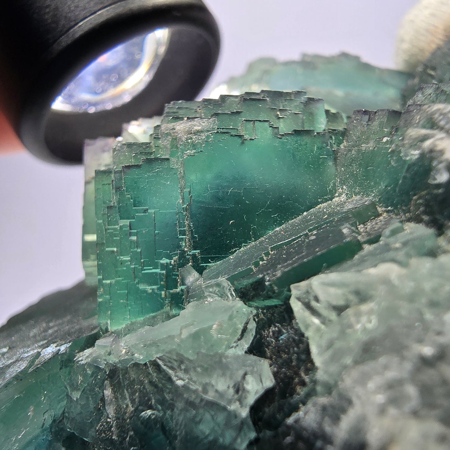 Grand cube de fluorite fantôme vert étagé Okorusu Namibie 100 x 68 x 42 mm