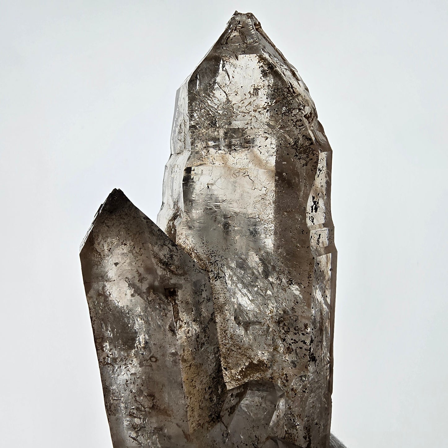 Sceptre XL Enhydro Skeleton Smoky Quartz DT, 4x Bubble Valentine Pocket, Namibie 233 x 54 x 47 mm