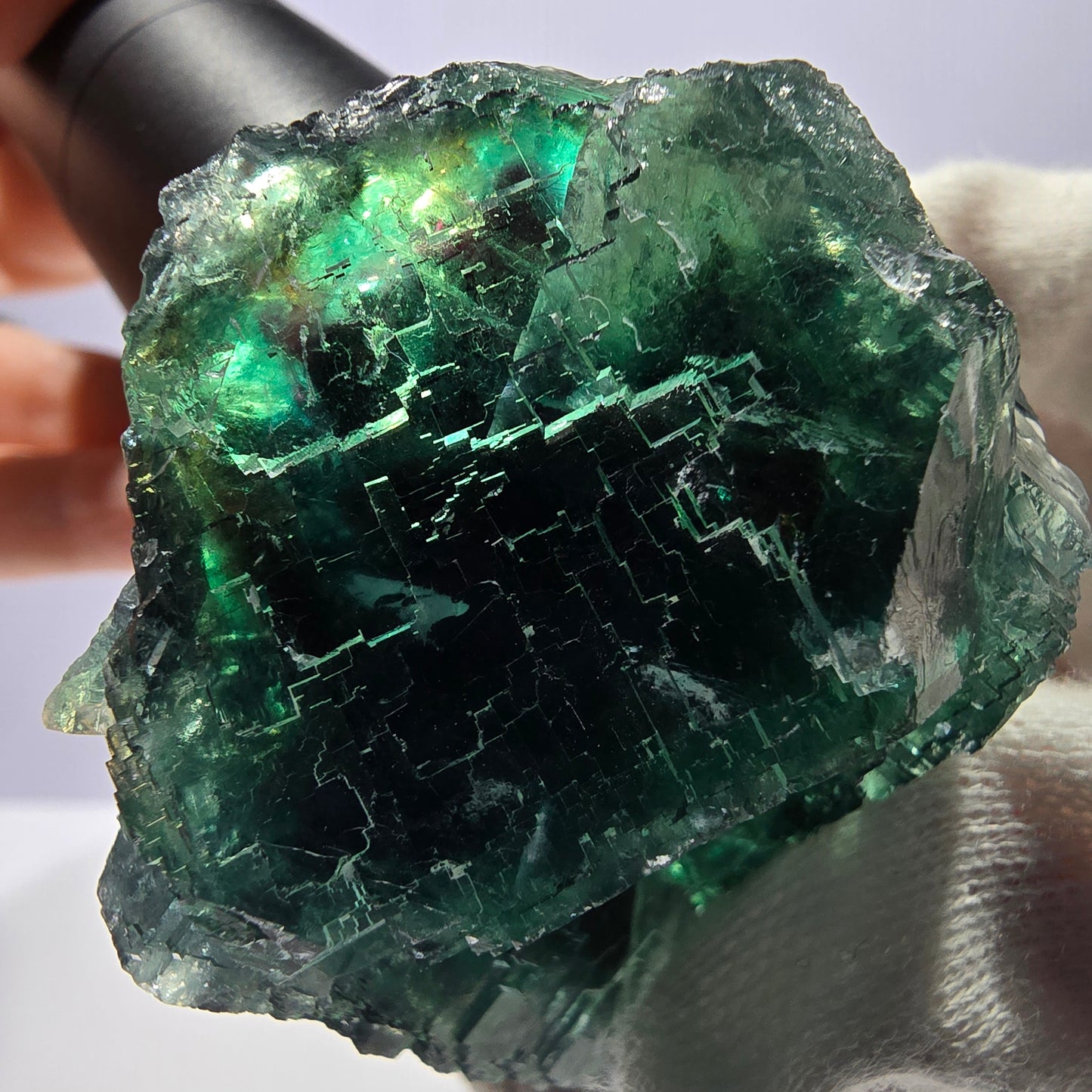 Cube de fluorite fantôme parqueté vert violet Okorusu Namibie 65*61*37mm