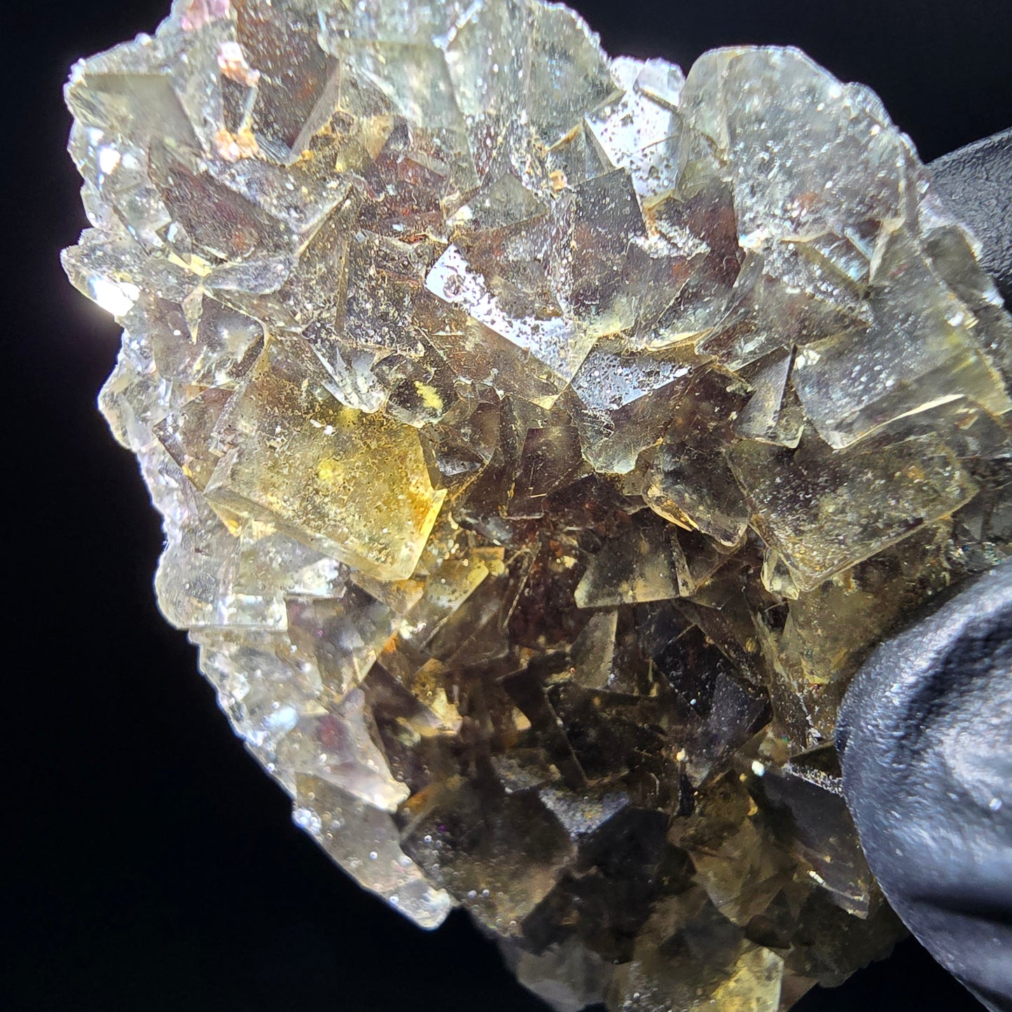 Honey Pocket Phantom Fluorite stage jaune violet Okorusu Namibie 49*37*11mm collection