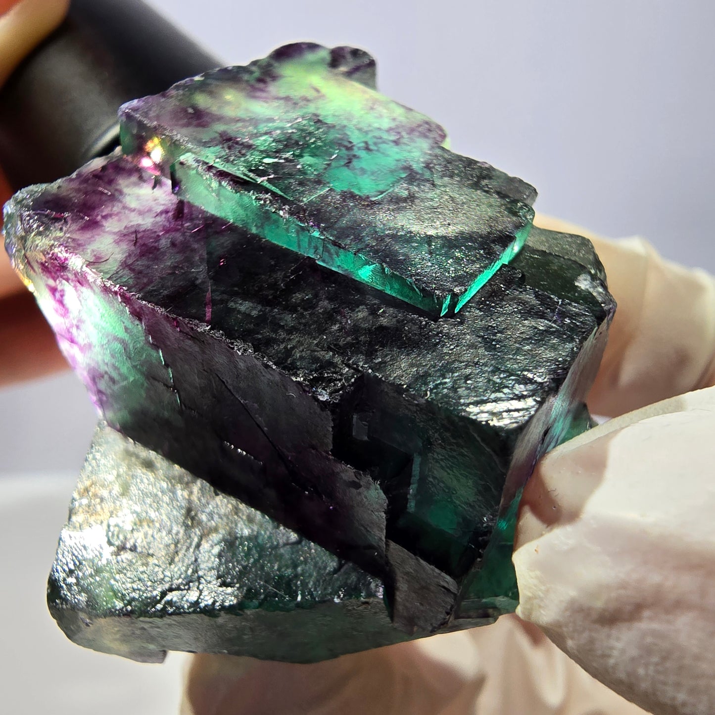 Spécimen de cube de fluorite fantôme, parqueté vert violet Okorusu, Namibie 41*41*25 mm