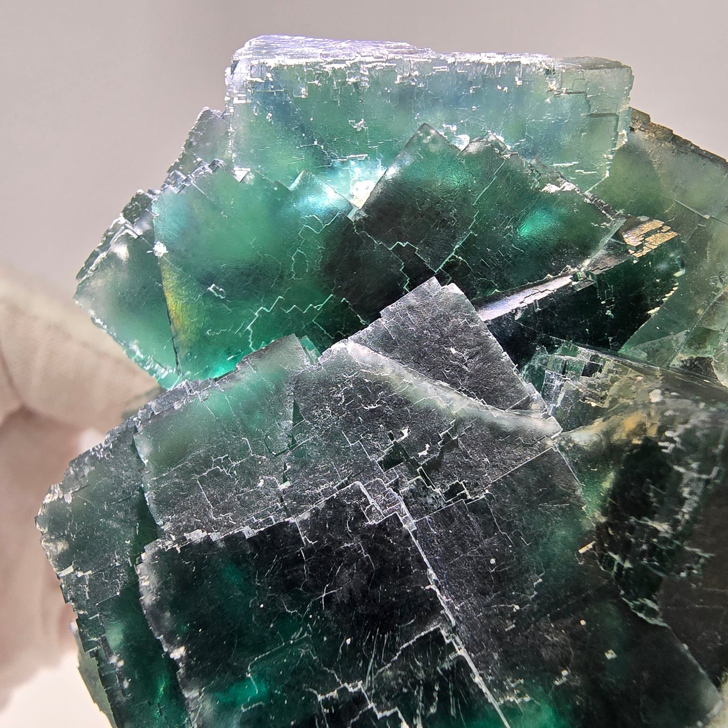 Große Phantom Fluorit Würfel Stufe grün Okorusu, Namibia 97*92*67mm Sammlung