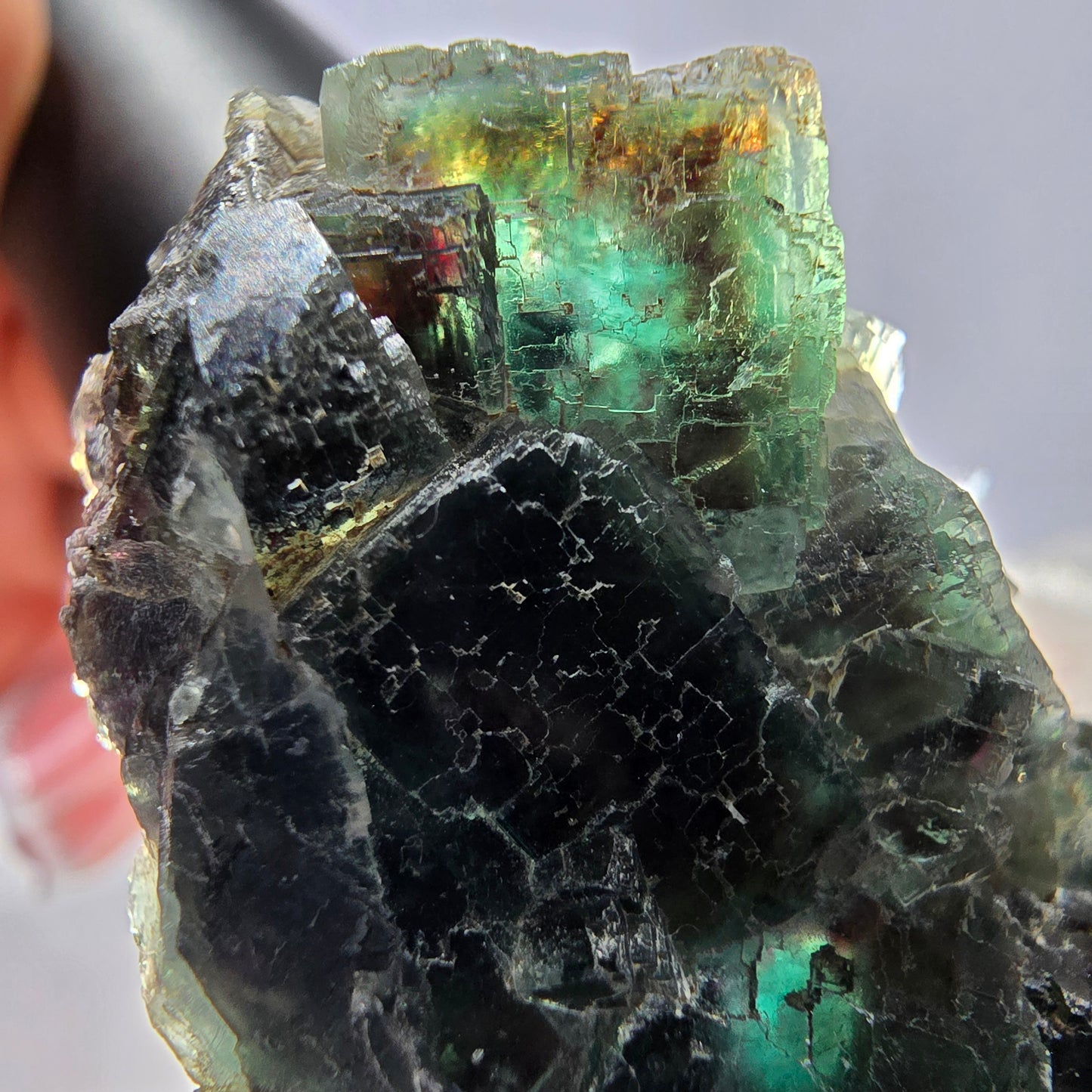 Rare spécimen de cube de fluorite fantôme, parqueté vert Okorusu, Namibie, 52 x 29 x 18 mm