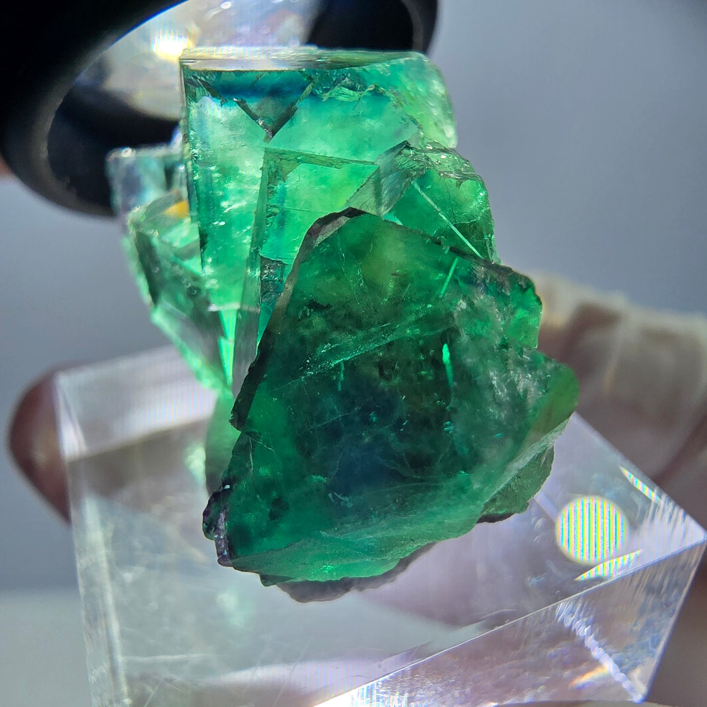 Rare spécimen de cube de fluorite, vert-violet, Okorusu, Namibie, 37 x 21 x 18 mm