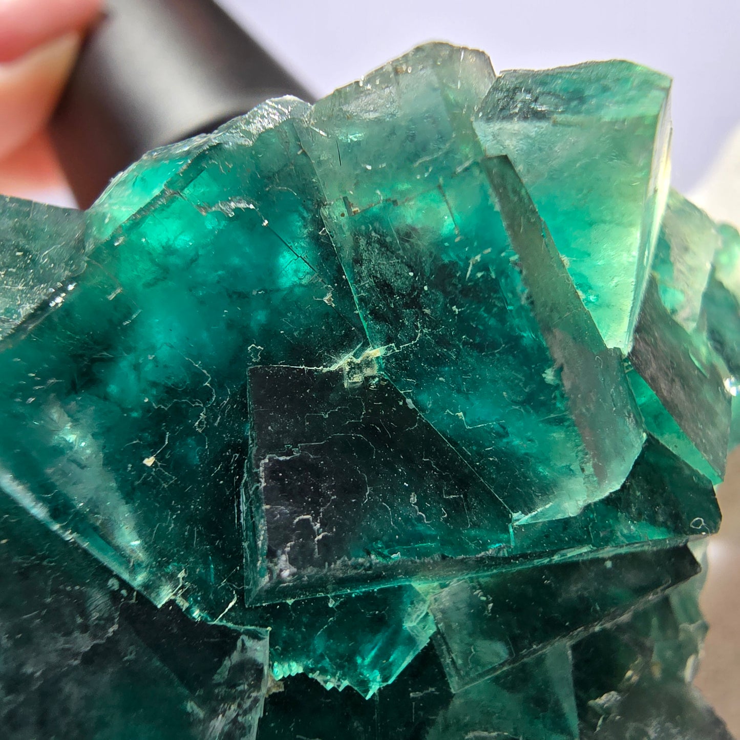 Rare spécimen de cube de fluorite fantôme, parqueté vert Okorusu, Namibie, 60 x 46 x 30 mm