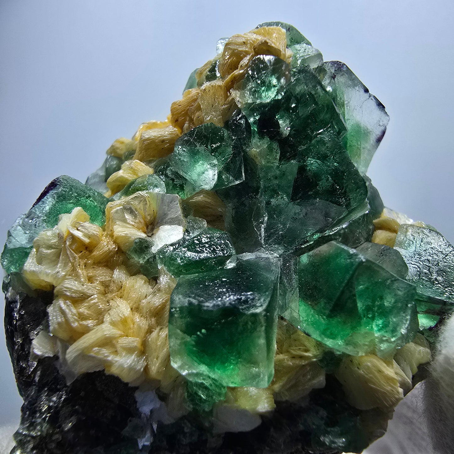 Fluorite fantôme Schörl, tourmaline, calcite, muscovite, stade Erongo, Namibie, 52 x 43 x 34 mm