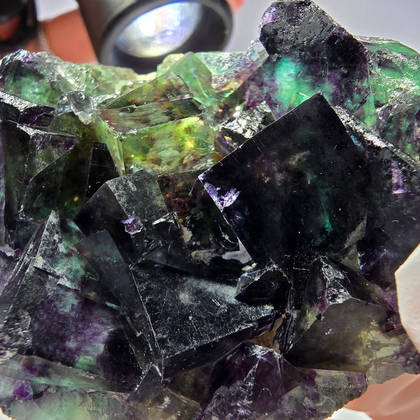 Rare spécimen de cube de fluorite fantôme, vert-violet, Okorusu, Namibie, 58 x 48 x 19 mm