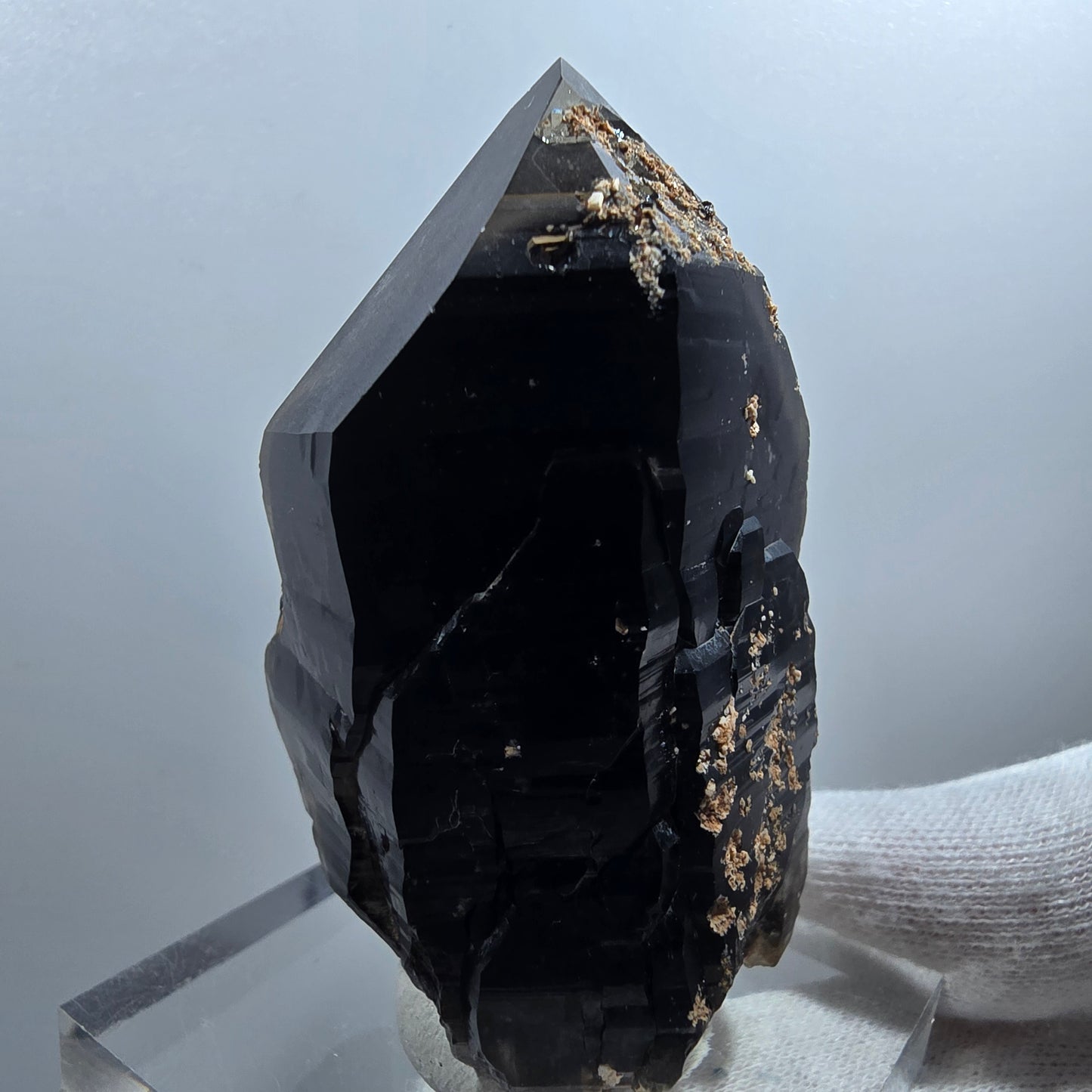 Sceptre de poche en quartz fumé squelette fantôme lémurien, Goboboseb de la Saint-Valentin, Namibie, 66 x 41 x 36 mm
