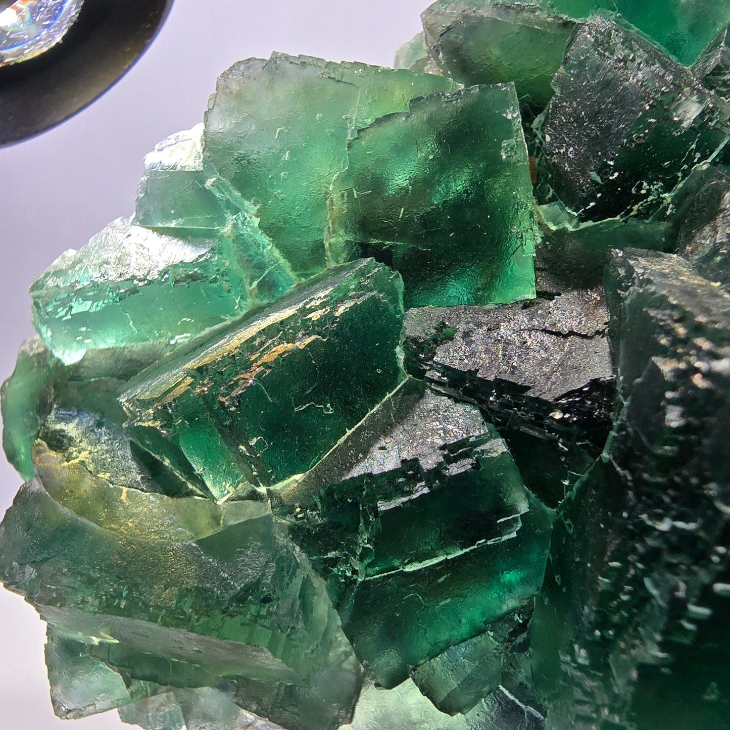 Grand spécimen de cube de fluorite fantôme, vert parqueté Okorusu Namibie 113*95*54mm