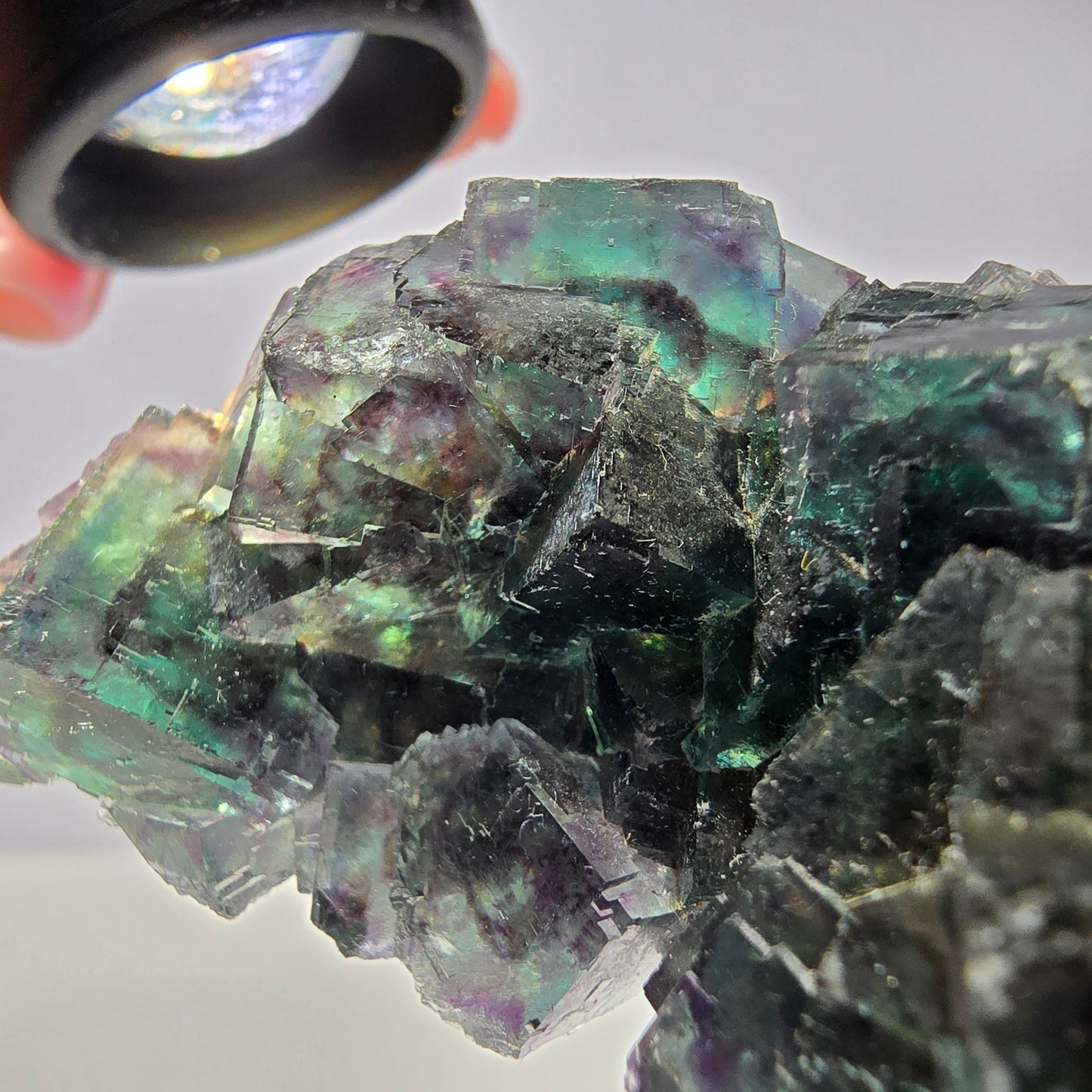 Spécimen de cube de fluorite fantôme, parqueté vert-brun Okorusu, Namibie 89 x 42 x 26 mm