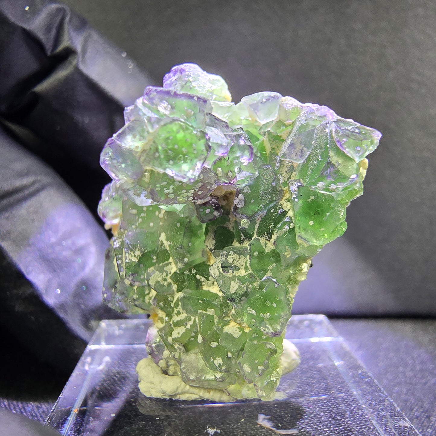 Klare Phantom Fluorit mit Schörl Muskovit Stufe grün lila Erongo, Namibia 28*24*18mm