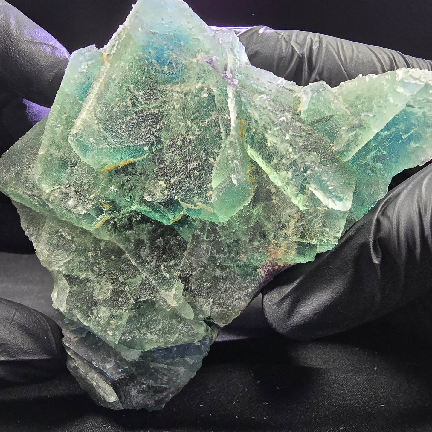 Große Phantom Fluorit XX Oktaeder Stufe grün blau 110*77*71mm aus Erongo Namibia