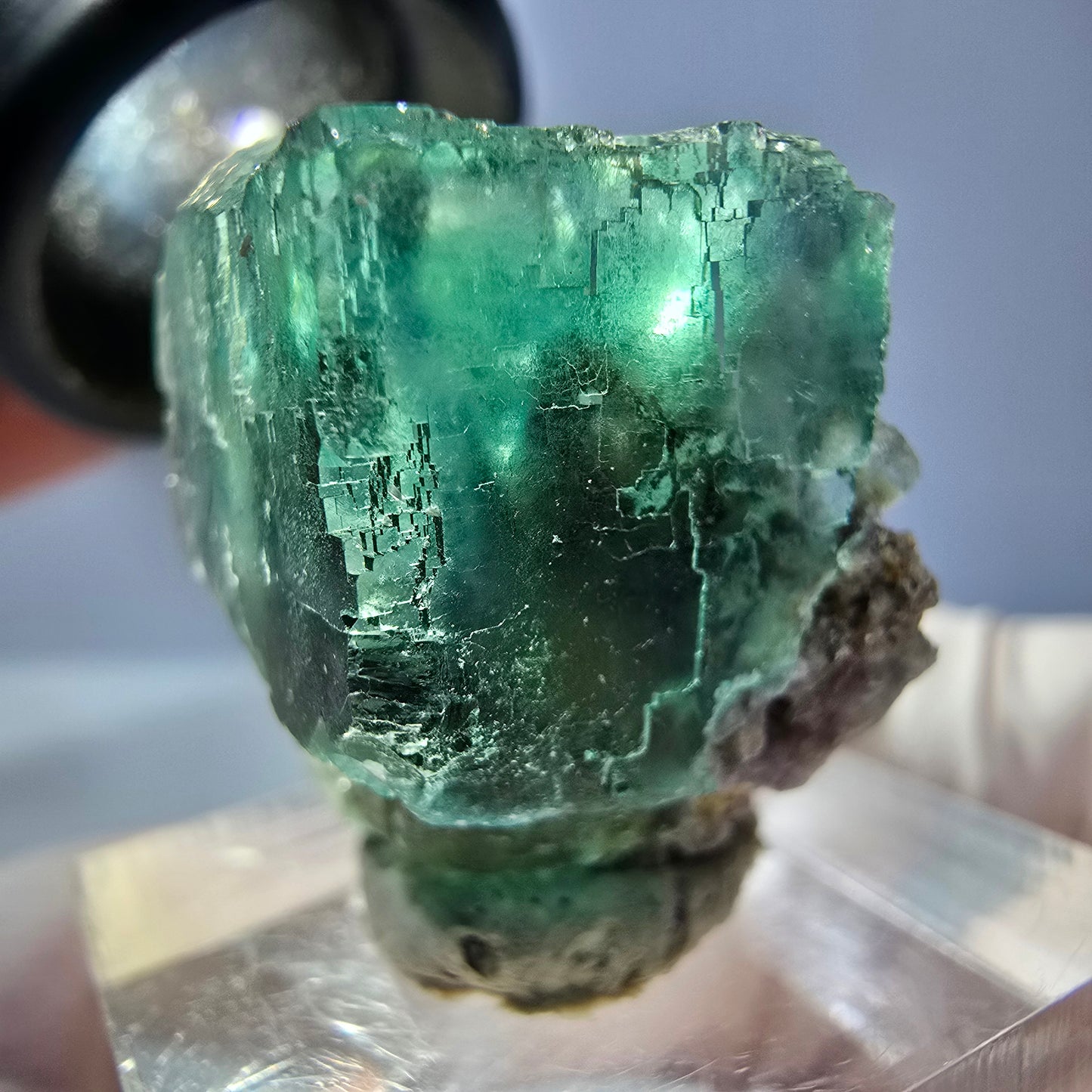 Cube de fluorite fantôme transparente parquetée, vert Okorusu, Namibie 25 x 19 x 15 mm