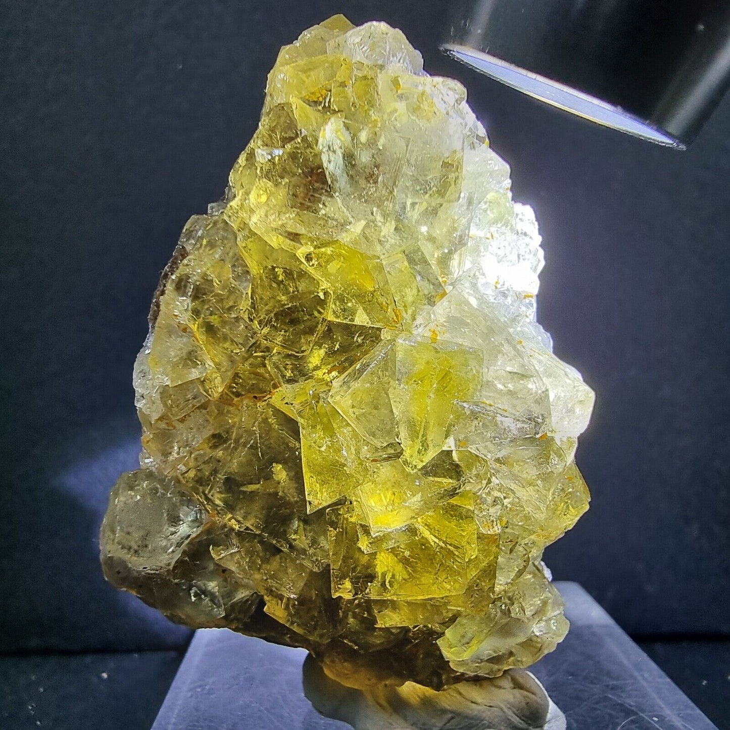 Seltene Honey Pocket Fluorit XX Würfel Stufe 59*30*28mm aus Okorusu Mine Namibia