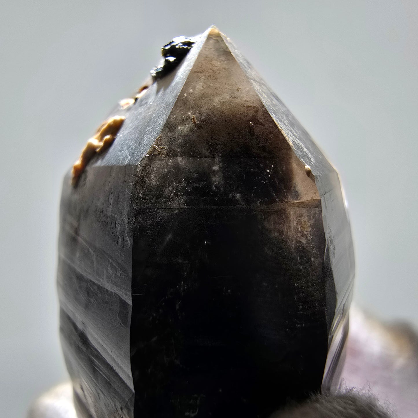Skeleton Phantom Smoky Quartz DT Scepter Valentine Pocket, Namibia 50*29*20mm